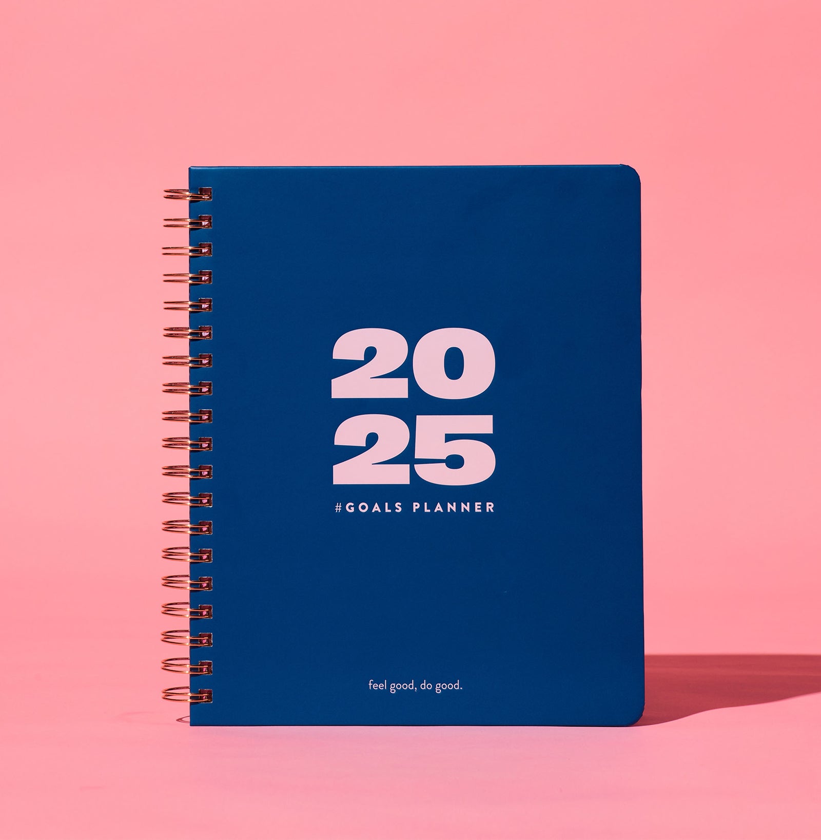 2025 #GOALS Planner